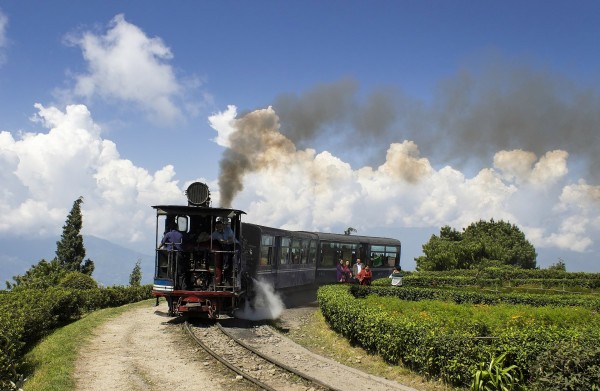 North East ( Kalimpong, Gangtok & Darjeeling )