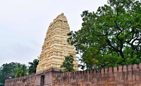 Andhra Pradesh ( Srisailam Only )