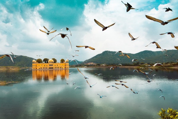 Jaipur Only